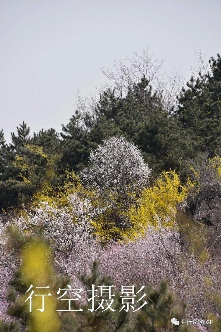 为什么小人搞了别人的高考成绩还不承认,还说是别人没发挥好反过来怪别人?—探索更多乐趣